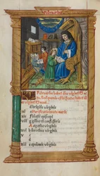 Gedrukt getijdenboek (gebruik van Rome): fol. 3v, februari kalenderillustratie