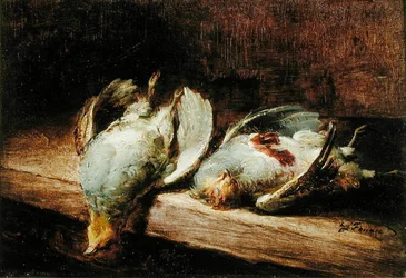 Patrijzen
