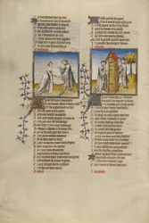 Romantiek van de Roos