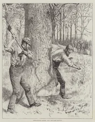 Landbouwscènes, Mei, de Schorsoogst