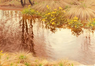 Zomerse oeverlandschap