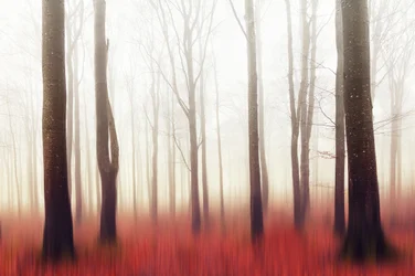 Dromerig rood bos