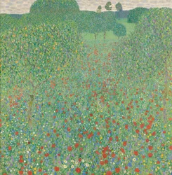 Bloeiende papaver
