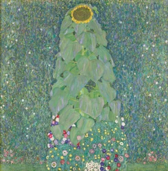 Zonnebloem