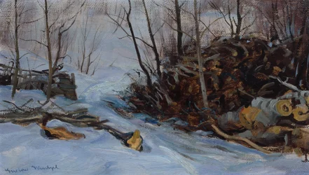Winterlandschap
