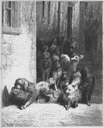 De hond die het diner van zijn meester om zijn nek draagt - Fabels, La Fontaine - gravure door Gustave Doré