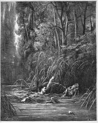 De bergstroom en de rivier - uit de “Fabels” van Jean de La Fontaine (Lafontaine) (1621-95) - gravure naar Gustave Doré (1832-83) - particuliere collectie