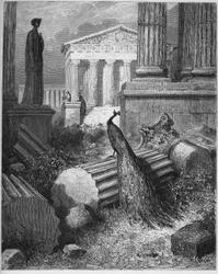 De pauw beklaagt zich bij Juno - uit “Fabels” van Jean de La Fontaine (Lafontaine) (1621-95) - gravure naar Gustave Doré (1832-83) - privécollectie