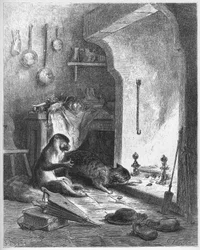 De aap en de kat - uit 