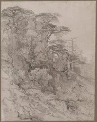 Bomen van een Rotsachtige Heuvel