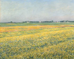 De vlakte van Gennevilliers, gele velden, 1884
