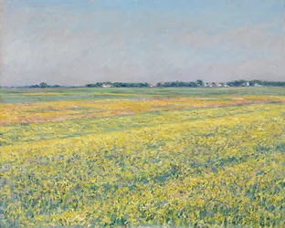 De vlakte van Gennevilliers, gele velden