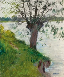 Wilg aan de rivier; Saule au bord de la rivière, c. 1891