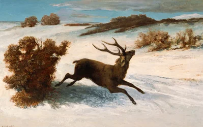 Herten rennen in de sneeuw