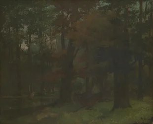 In het bos