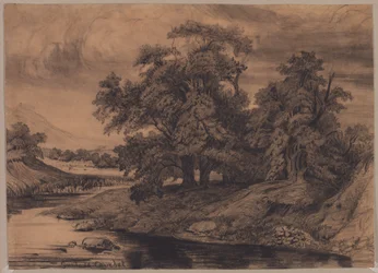 Landschap met grote bomen