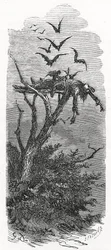 Een Keltische luchtbegrafenis, 1866