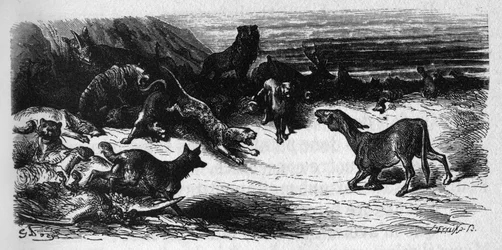 Zieke dieren van de pest. Fabels van Jean de La Fontaine (1621-95). Illustratie door Gustave Dore
