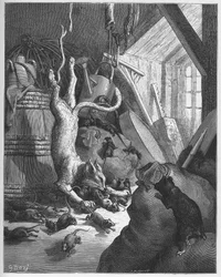De kat en een oude rat - uit "Fabels" van Jean de La Fontaine