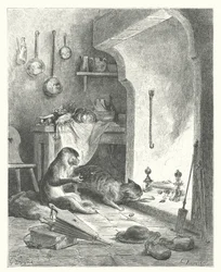 De fabels van La Fontaine: De aap en de kat