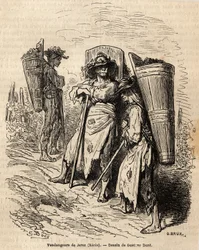 De plukkers van Xeres. Tekening door Gustave Dore (1832-1883), ter illustratie van zijn reis naar Spanje in 1862, met Ch. Davillier. Gravure in 