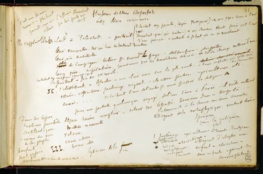 Folio 41 van werkboek nr. 19 Manuscriptpagina van Gustave Flauberts concepten. Plannen voor Bouvard en Pecuchet. BHVP