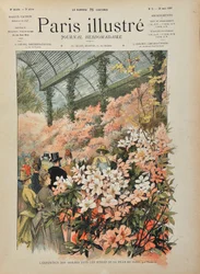 Tentoonstelling van azalea