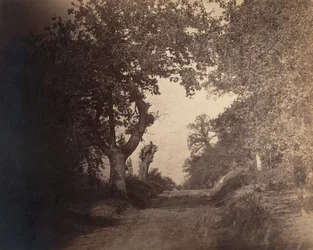 Fontainebleau, zandweg omhoog