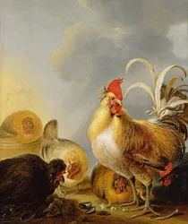 Een Groep Boerderijdieren