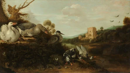 Watervogels