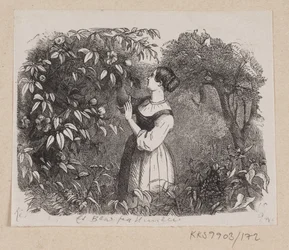 Illustratie voor "Een Blad uit de Hemel" in H.C. Andersen, "Sprookjes en Verhalen", Deel 2