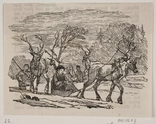 Slede rijden met rendieren