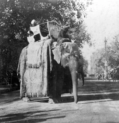 Een olifant buiten het treinstation in Delhi, India, 1900s