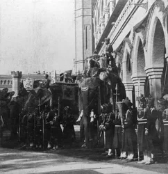 De olifant van de onderkoning, Delhi, India, 1900s