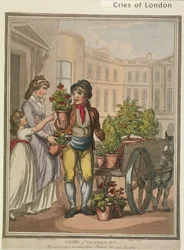 Alles groeit, groeit, hier zijn bloemen voor je tuinen, plaat VI van Cries of London, 1799