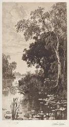 Zonder Titel (Zomer)