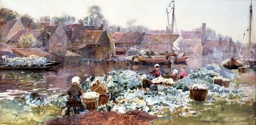 Bloemkolen voor het Inleggen