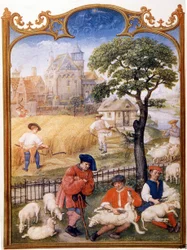 Veldwerk, schapen scheren en boeren maaien tarwe. Miniatuur toegeschreven aan Memling. Plaat uit het Breviarium Grimani van de 15e eeuw. Biblioteca Marciana, Venetië