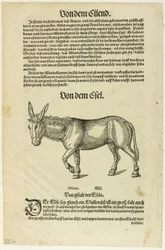 Illustratie uit "Thierbuch", plaat 42 uit Woodcuts from Books of the XVI Century