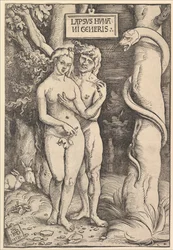 Adam en Eva, 1511