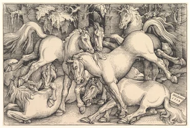 Groep van zeven paarden, 1534