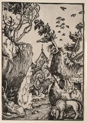 Sint-Hieronymus in de Wildernis