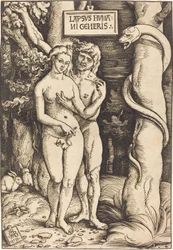 Adam en Eva, 1511
