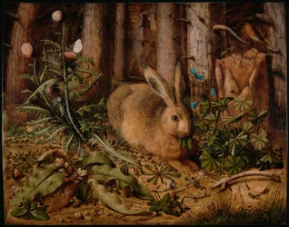 Een haas in het bos, ca. 1585