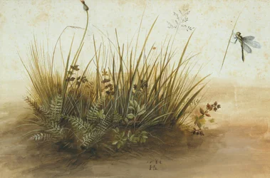 Een klein stuk graszode, 1584
