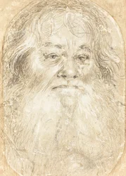 Studie van een Bebaarde Man (verso)
