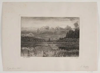 Het Meer in het Dennenbos