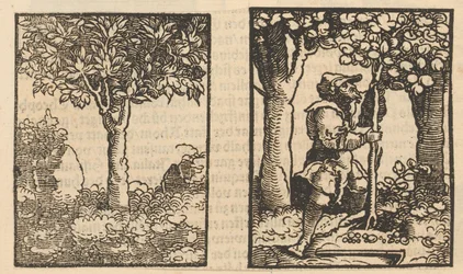 Boom en voorstelling van een fruitplukker tussen bomen