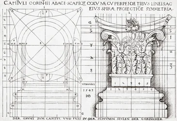 Doorsnede van Korinthisch kapiteel en proportionele tekening