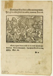 De regen van Manna uit Biblische Historien Künstlich fürgemalt, plaat vijf uit Houtsneden uit Boeken van de XVIe Eeuw